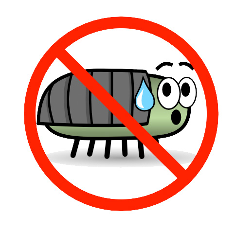 [IT読解]Bài 3 : Những chú ý đặc biệt khi fix bug